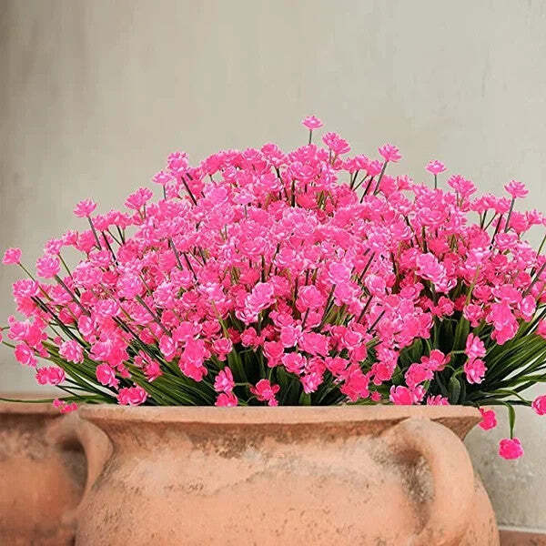 Pink Narcissus
