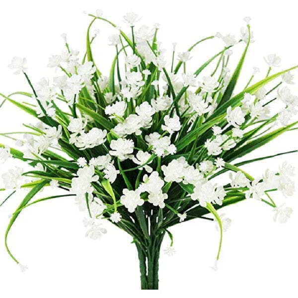 White Narcissus